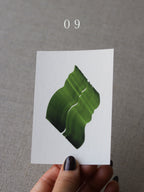 Sample print ~ Forest Flickers