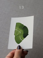 Sample print ~ Forest Flickers