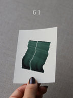 Sample print ~ Forest Flickers