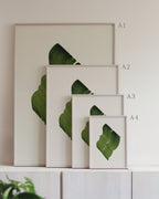 Set of framed green art prints with abstract leaf designs on a neutral background, showing in sizes A4, A3, A2 and A1