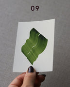 Hand holding sample of a green abstract art print with a green leaf-like design