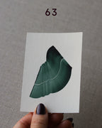 Hand holding sample of a green abstract art print with a green leaf-like design