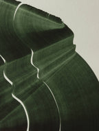 Dark green abstract painting, fine art print. Close-up detail shot of the high quality print, the textured bamboo paper, the curved shape and pattern, vibrant colours and fine detail.