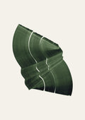 Green abstract painting with a flowing botanical leaf-like shape, on a cream background