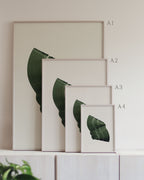 Set of framed green art prints with abstract leaf designs on a neutral background, showing in sizes A4, A3, A2 and A1