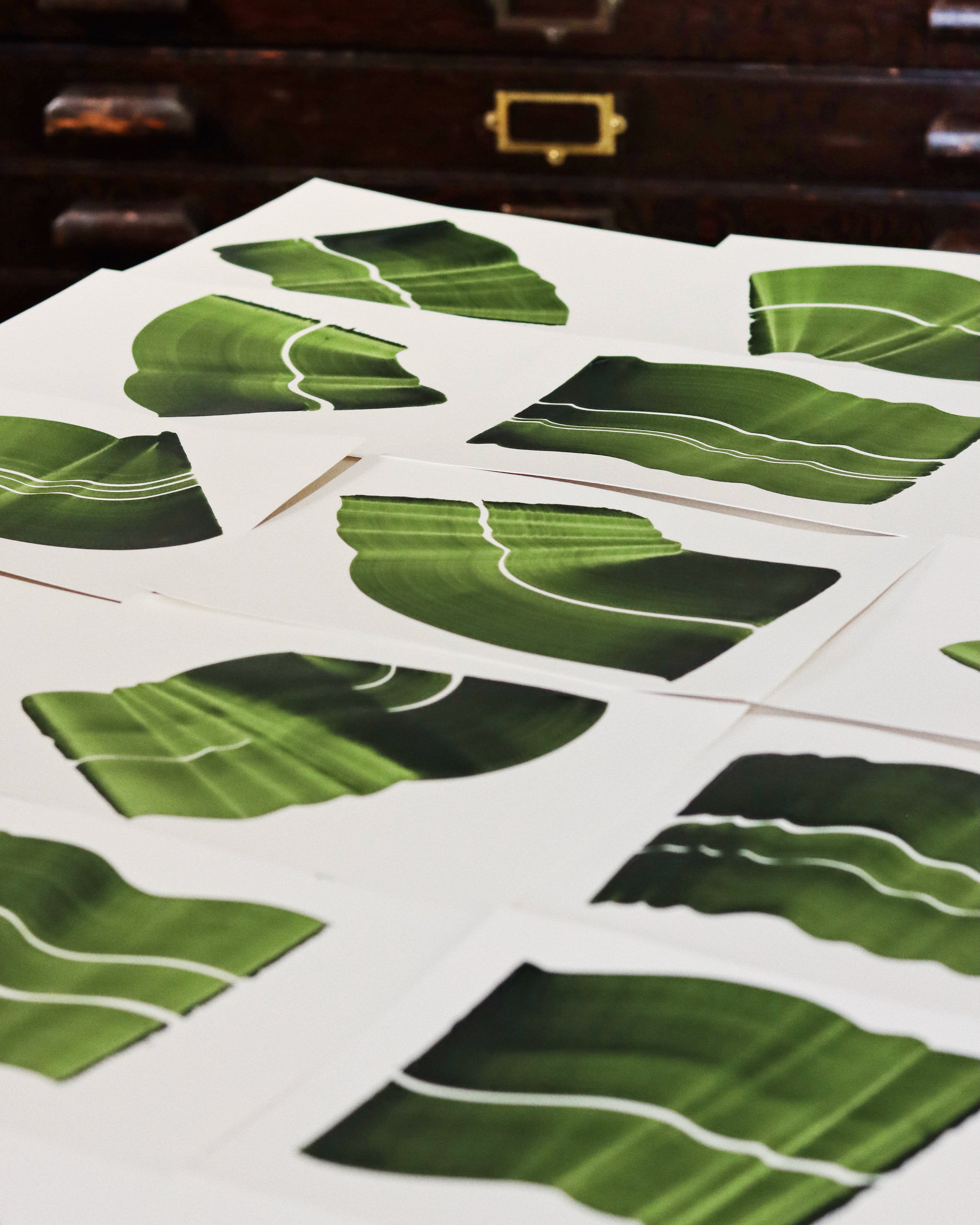 Green abstract paintings with leaf-like shapes laid out on the studio table of artist Aimee Johanan