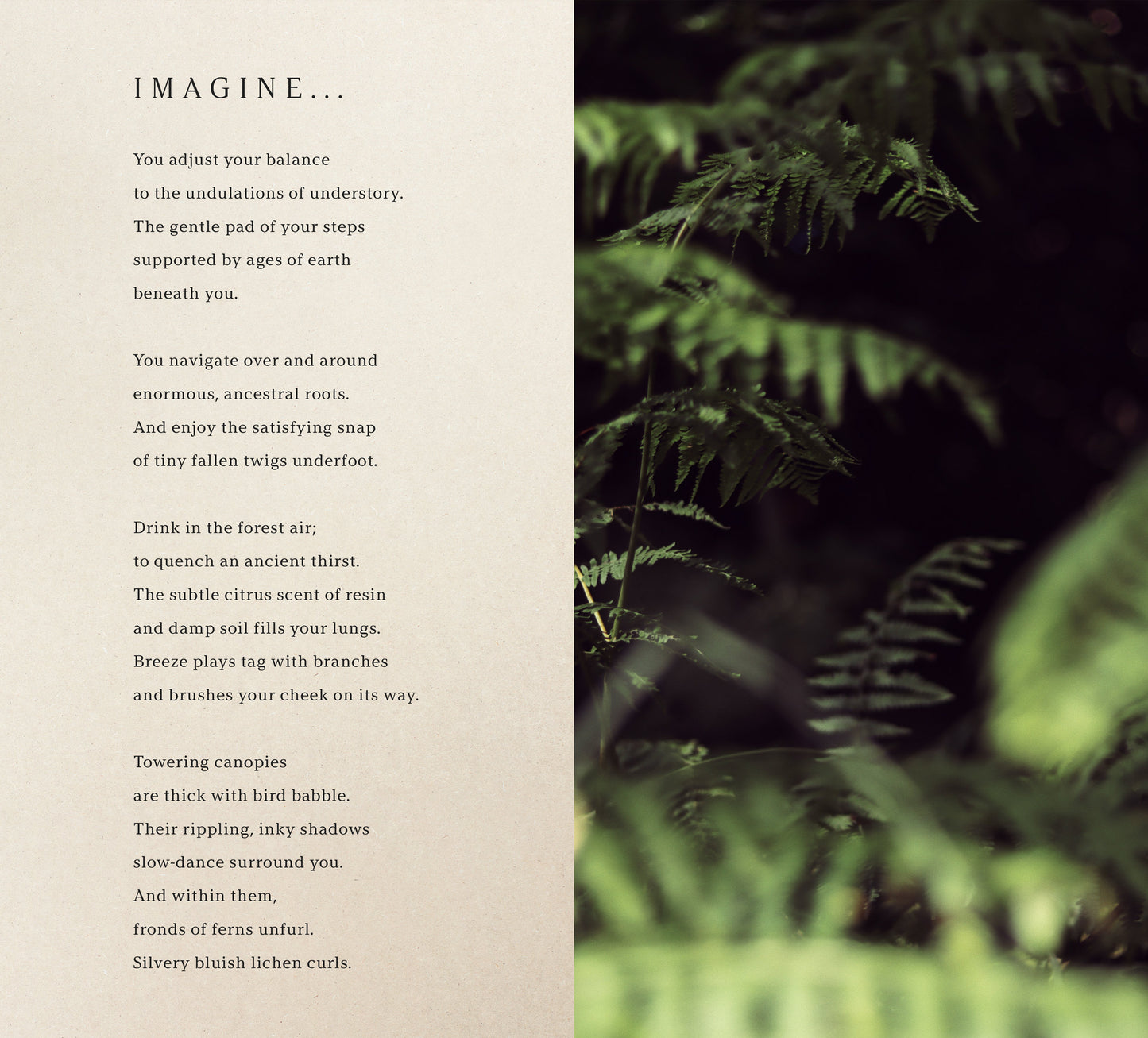 In this Verdant Place #65