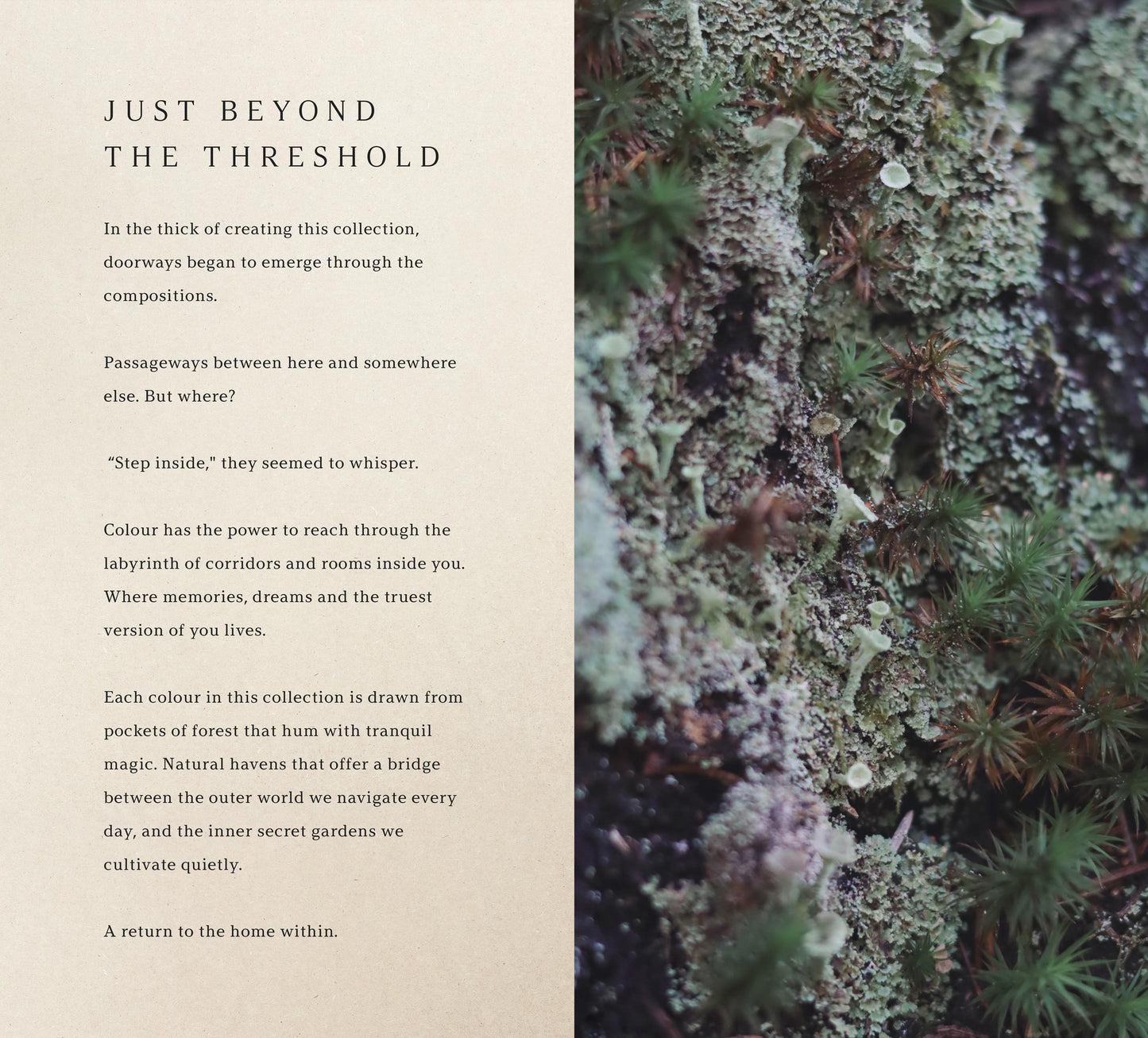 In this Verdant Place #63