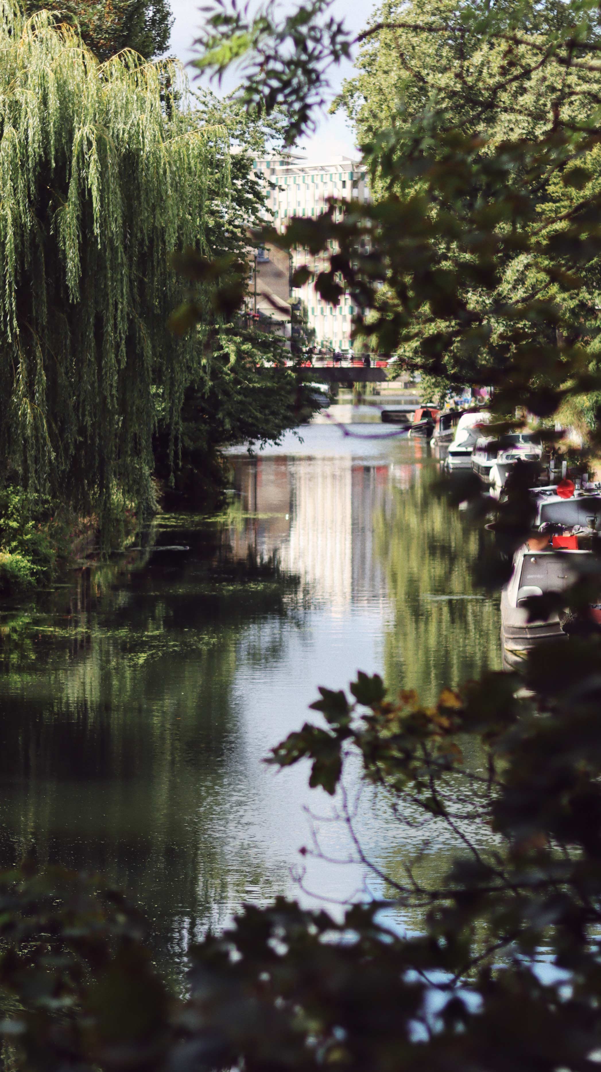 East London canals in spring summer, the sun is shining, the trees are lush and verdant, reflecting off the calm, rippling waters. Boats rest along one side of the canal. A bridge and tall apartment buildings can be seen in the distance.
