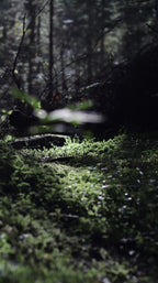 Unfurl 06